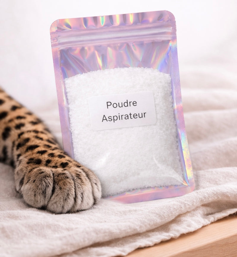 Poudre aspirateur
