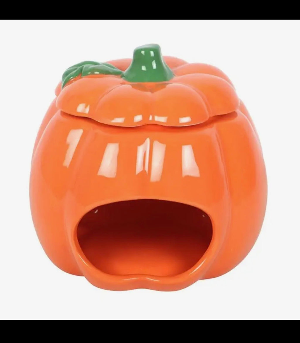 Brûleur citrouille